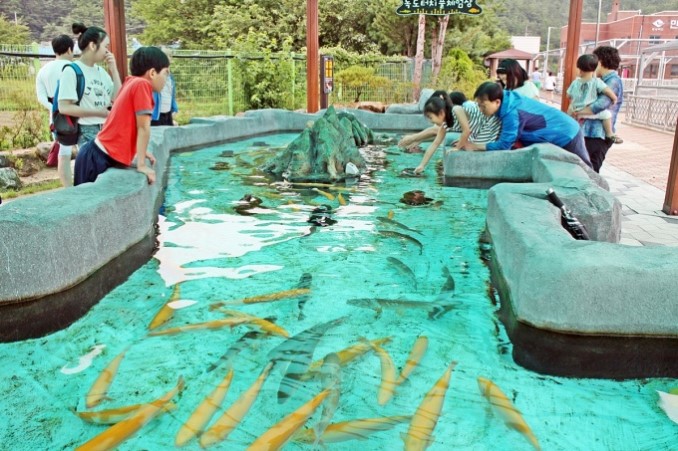 4.민물고기생태체험관 이미지