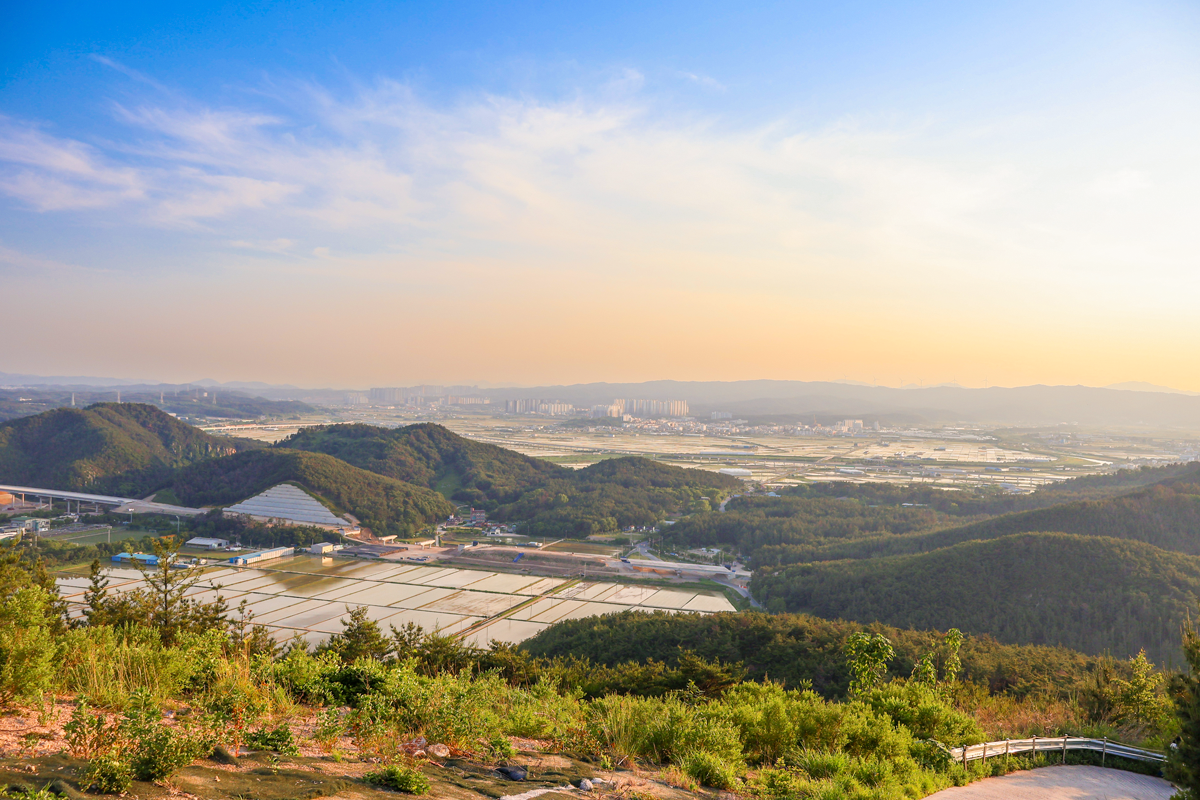 포항 곤륜산 사진5